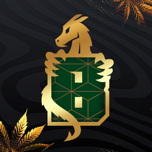 Команда BLACK